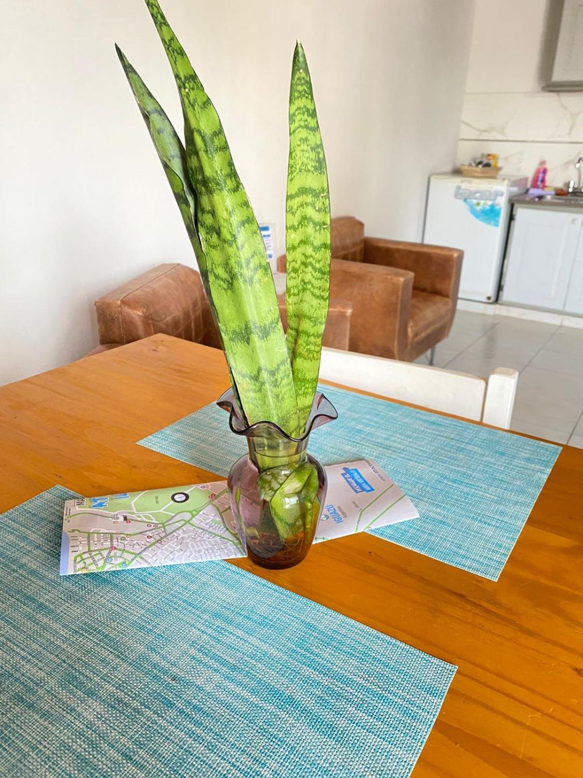 Duplex Urbano Apartment